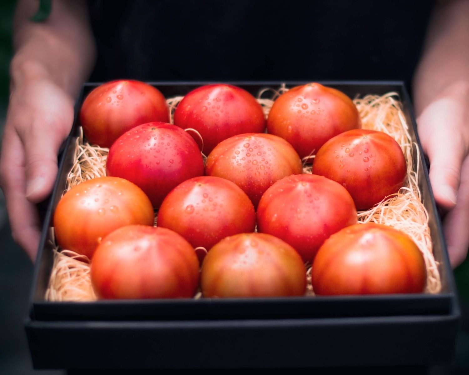 【塩で育てた 塩熟トマト】 “トマトの概念が変わる” 甘みと酸味の濃密な味わい