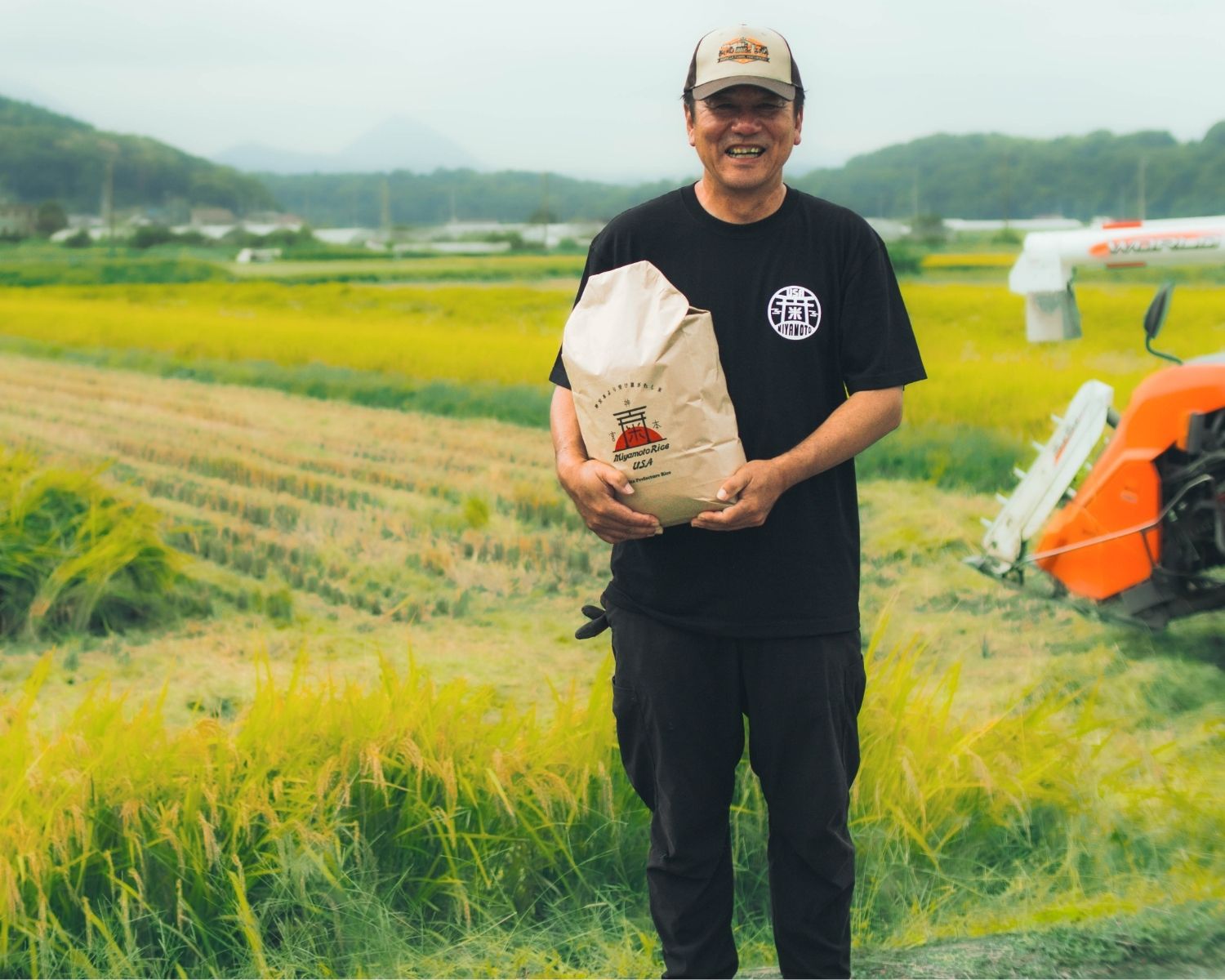 国7宝宇佐神宮の隣の田んぼから新米のなつほのかをお届け